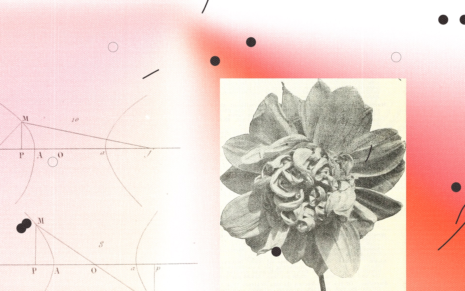 Ревью концепций