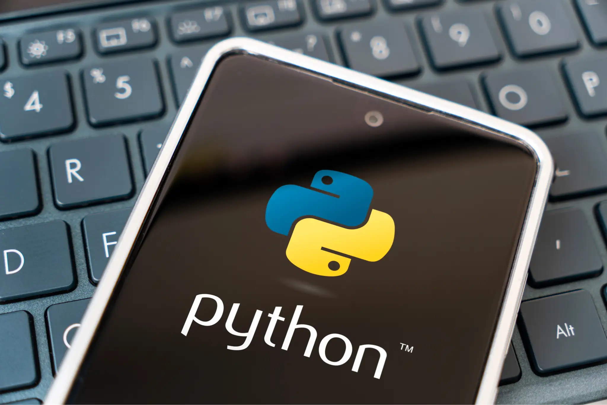 проекты для начинающих программистов python