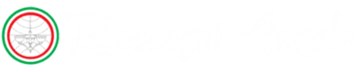 Логотип Reccagni Angelo — освещение для премиальных интерьеров ProLight
