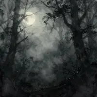 Eerie Fog Scenes