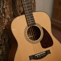 Acoustic Guitar