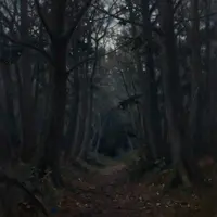 Dark Forest