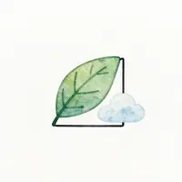 Minimalist Watercolor Illustrations