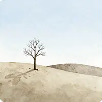 Minimalist Landscapes