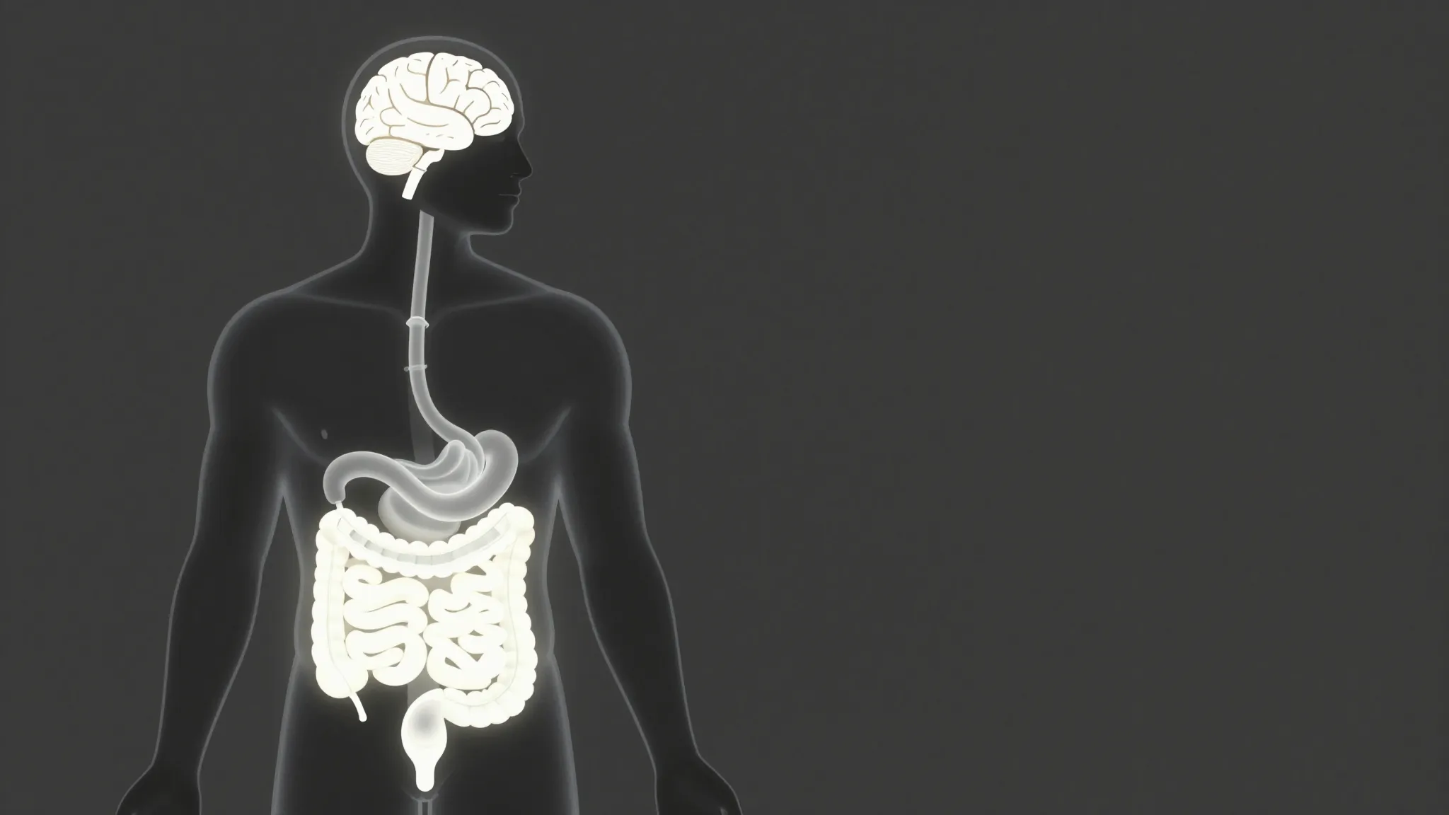 A conceptual illustration of a human silhouette with a glowi...