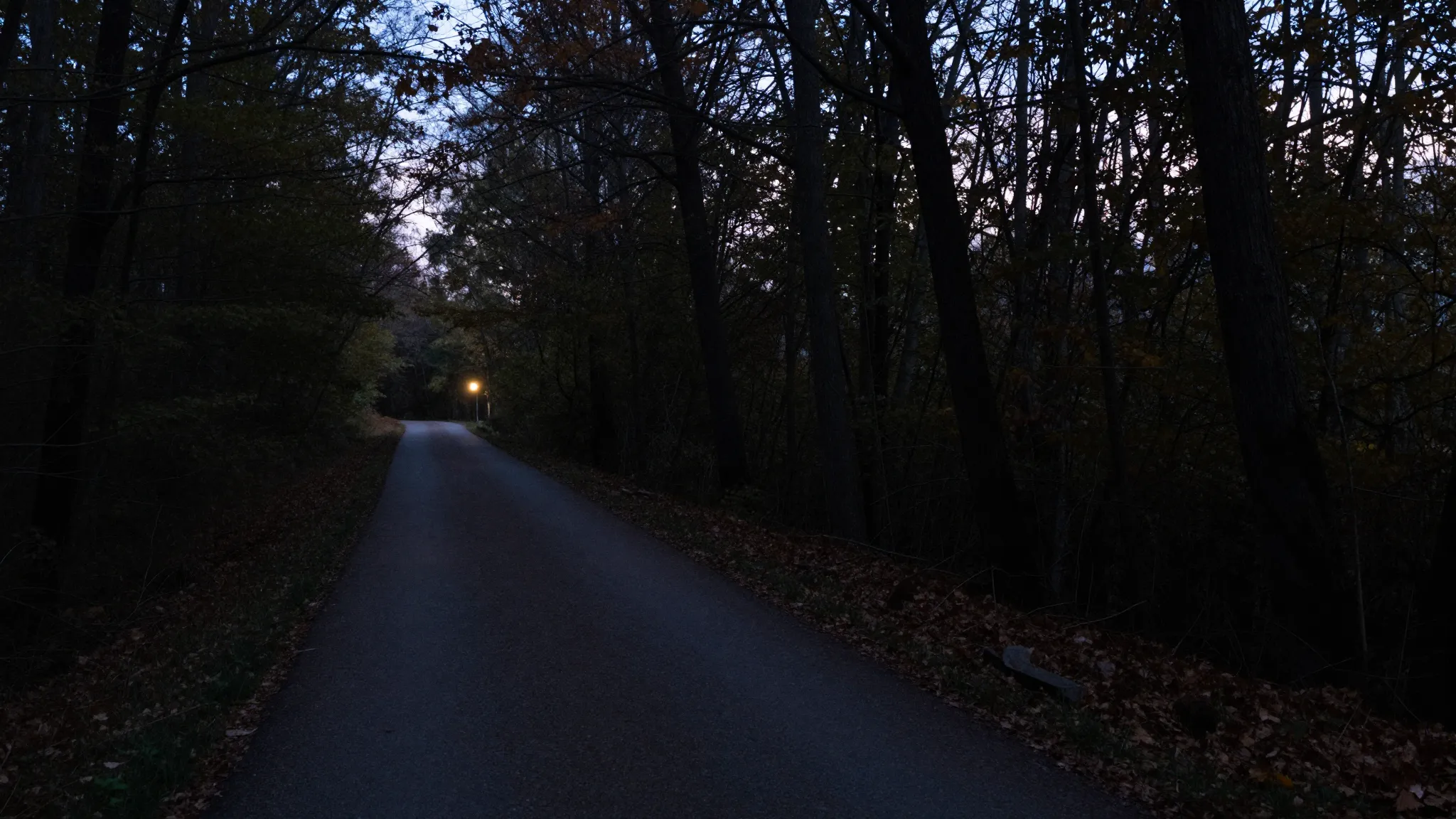 A lonely path leading into a deep forest at twilight, a fain...