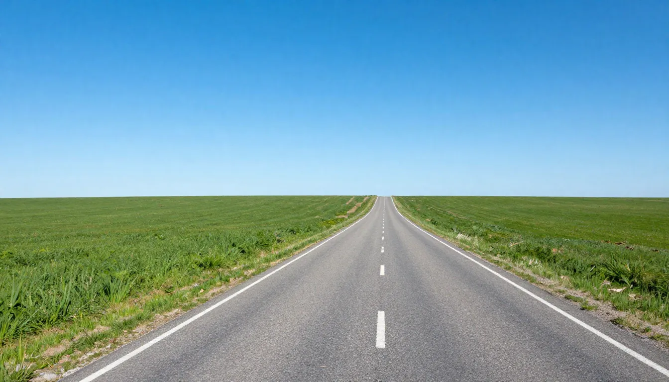 A long winding road stretching into the horizon through a gr...