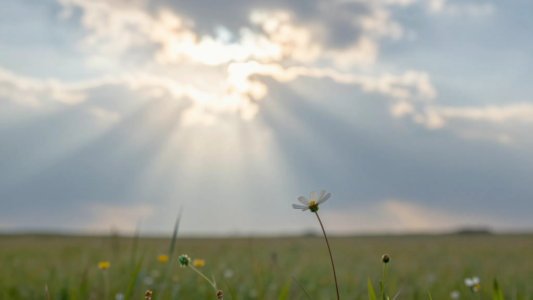 A serene landscape with a bright sunbeam breaking through so...