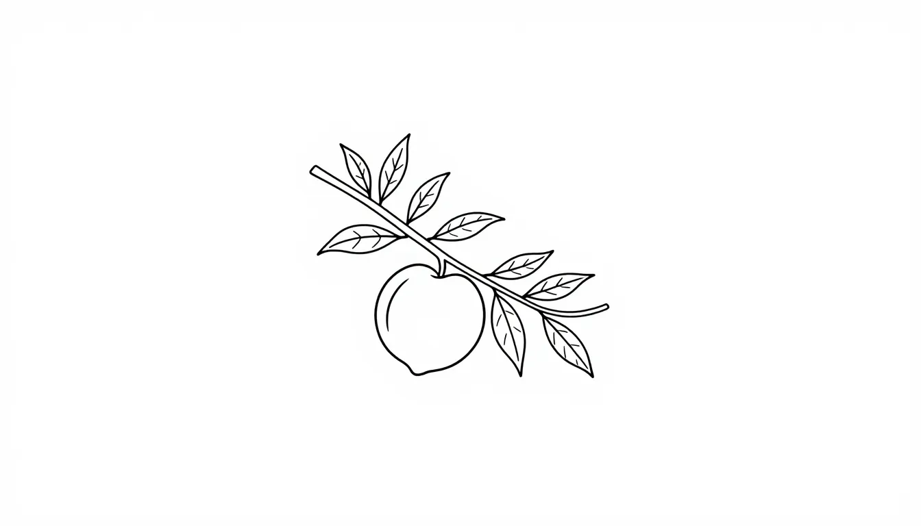 Minimalist logo design, a delicate peach branch with small l...