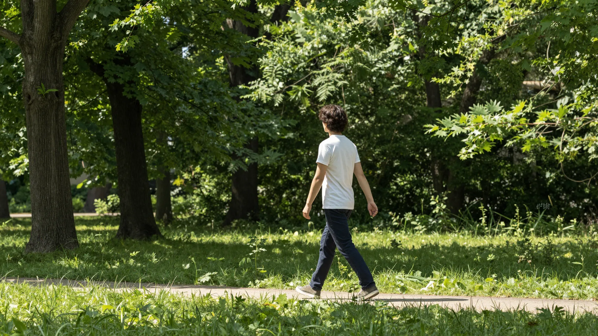 A person walking peacefully in a sunlit park, surrounded by ...