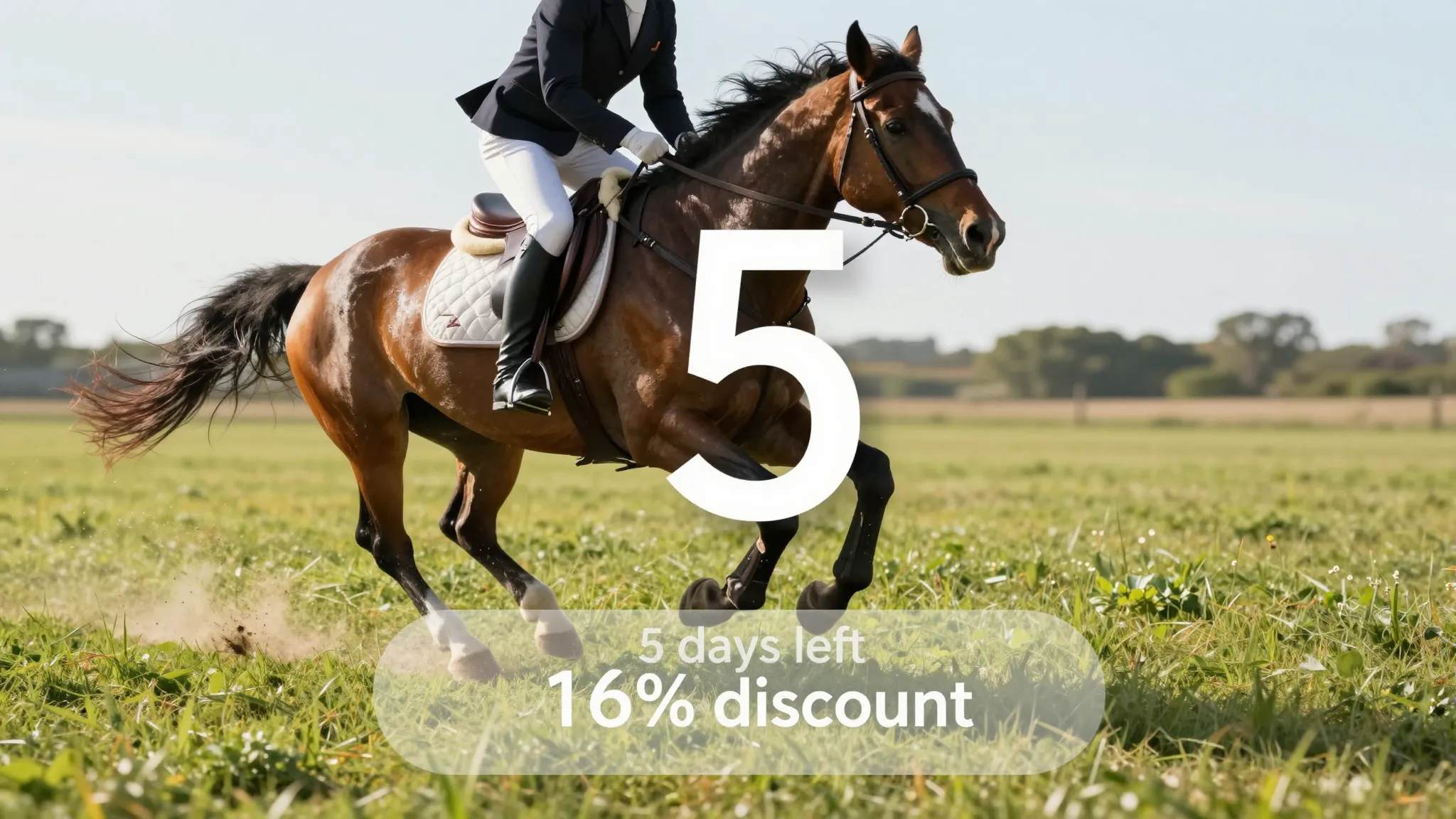 A dynamic image of a rider on a horse, galloping through a b...