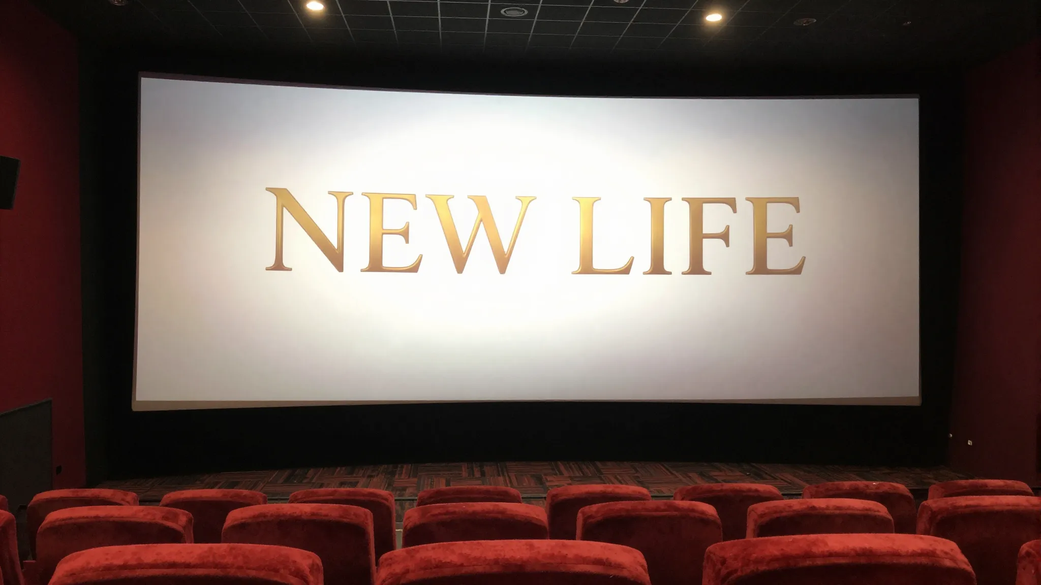 A high-end cinema hall with red velvet seats and a large scr...