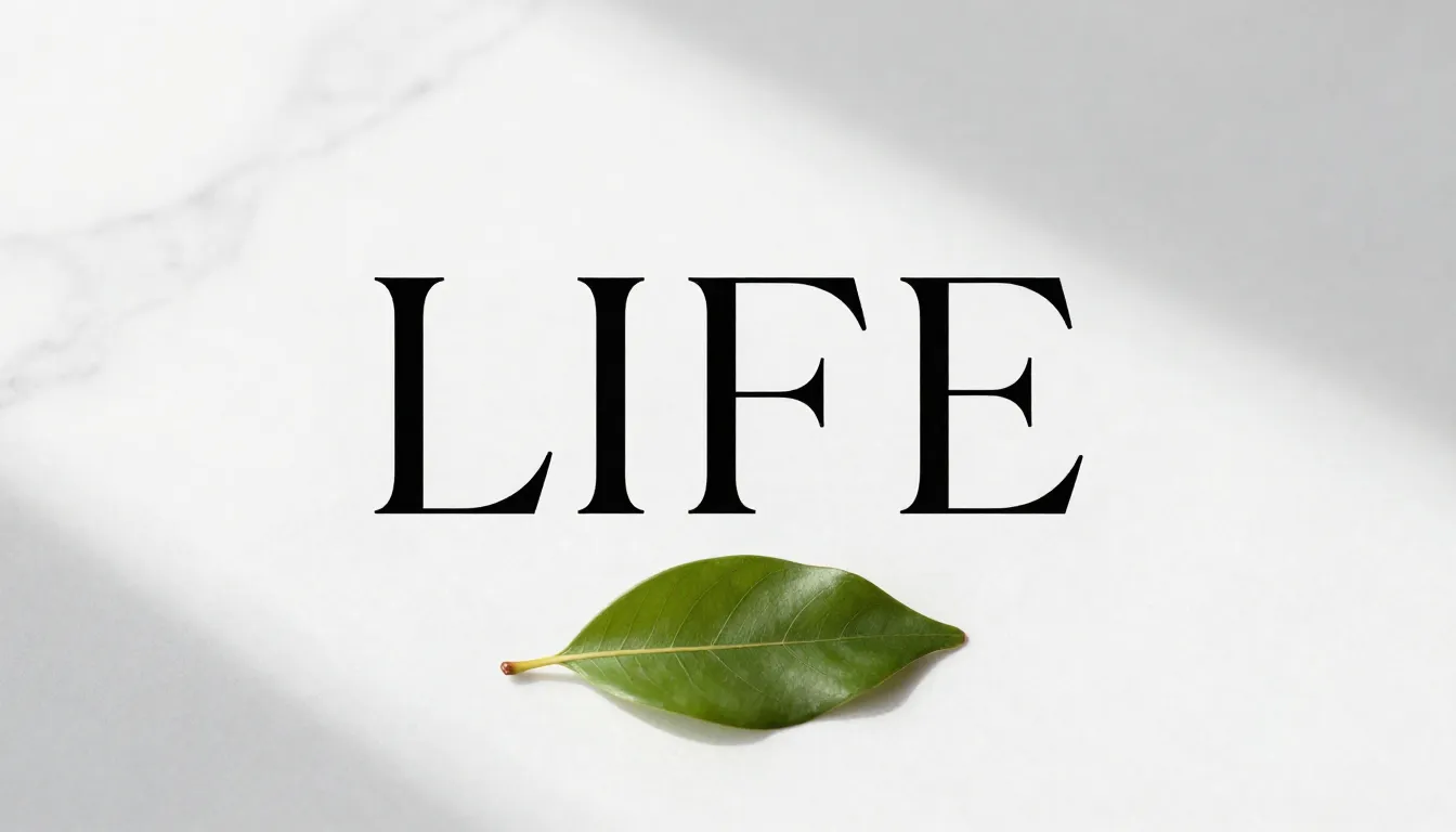 A minimalist book cover with the title 'LIFE' in elegant ser...