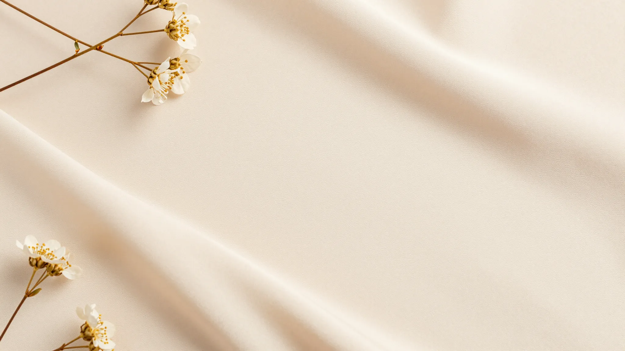 Minimalist aesthetic background for a women's club, soft bei...