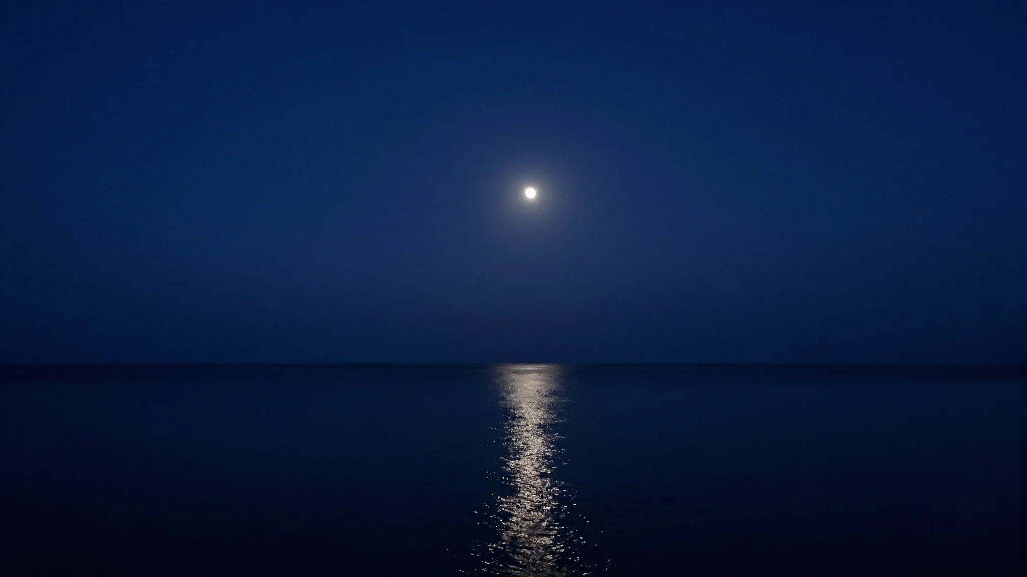 A lonely bright star shining in a deep indigo night sky abov...