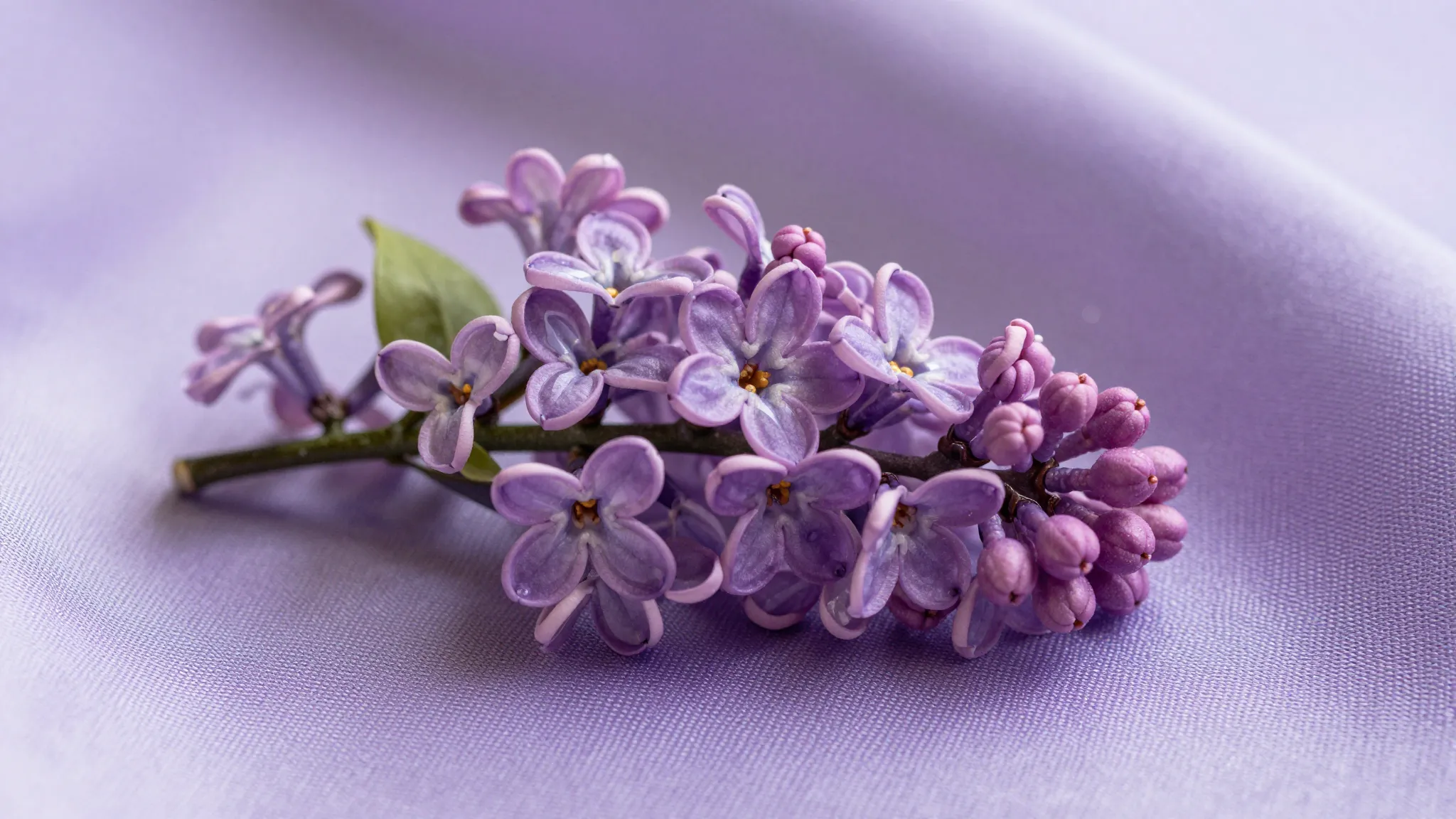 A beautiful handmade lilac brooch made of beads and crystals...