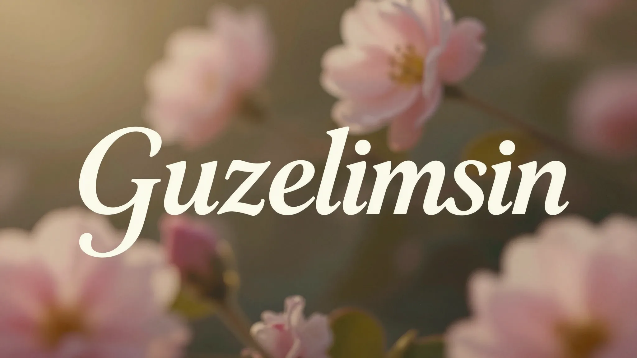 A romantic and elegant typography of the word 'Guzelimsin' s...