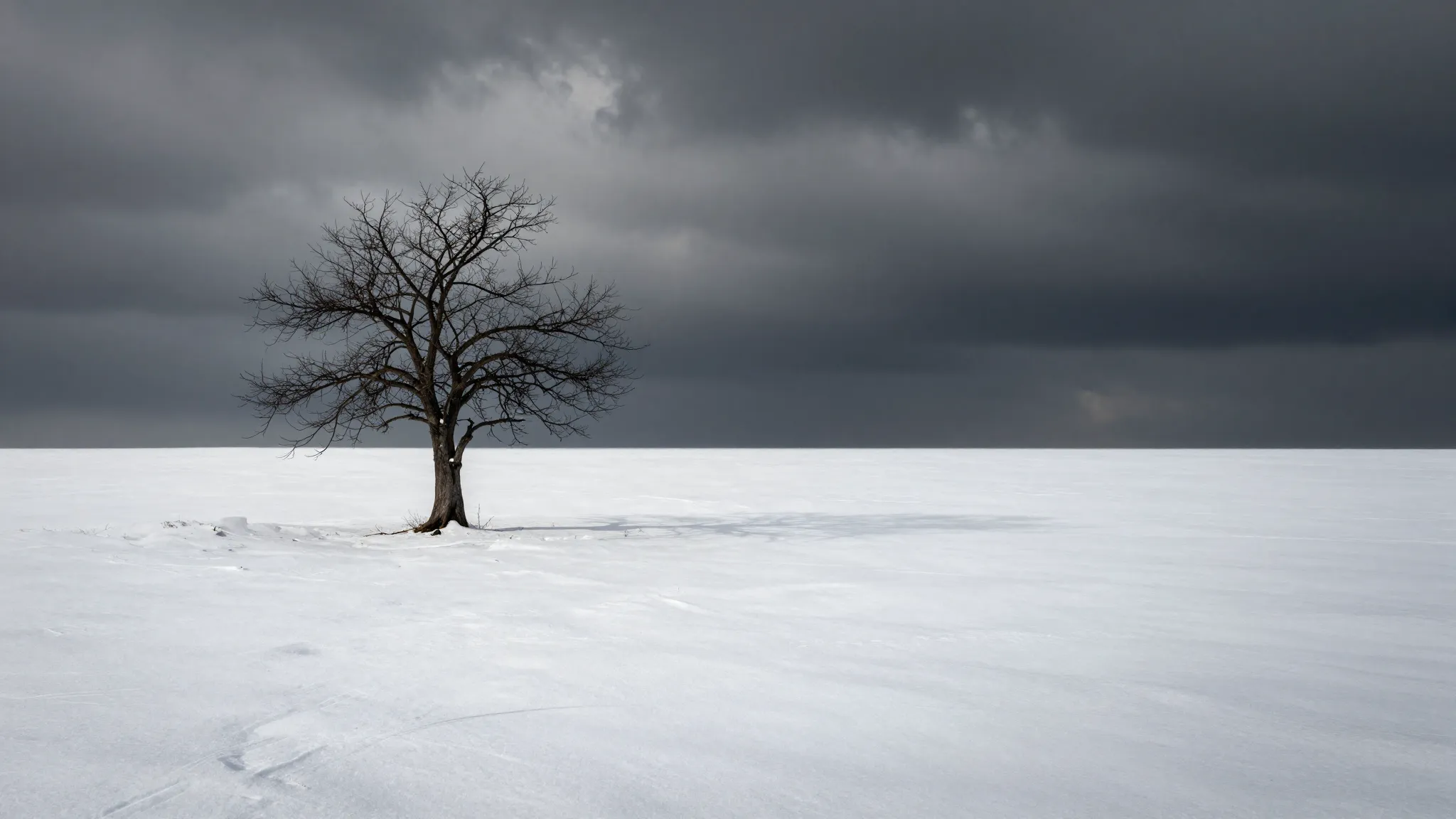 Surreal digital art, a vast empty snowy field with a single ...