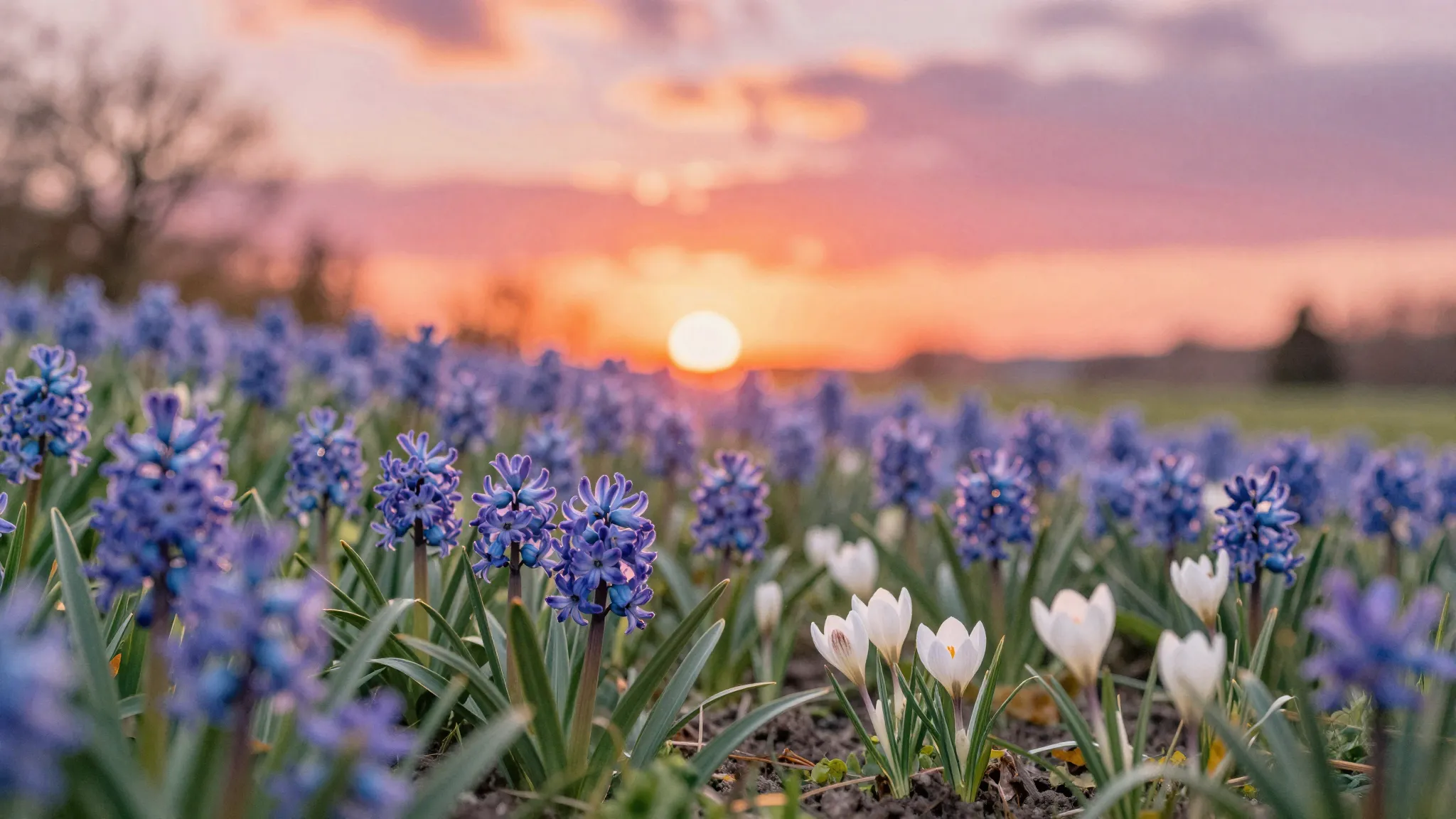 Watercolor style. Enchanting spring garden at sunset, vibran...