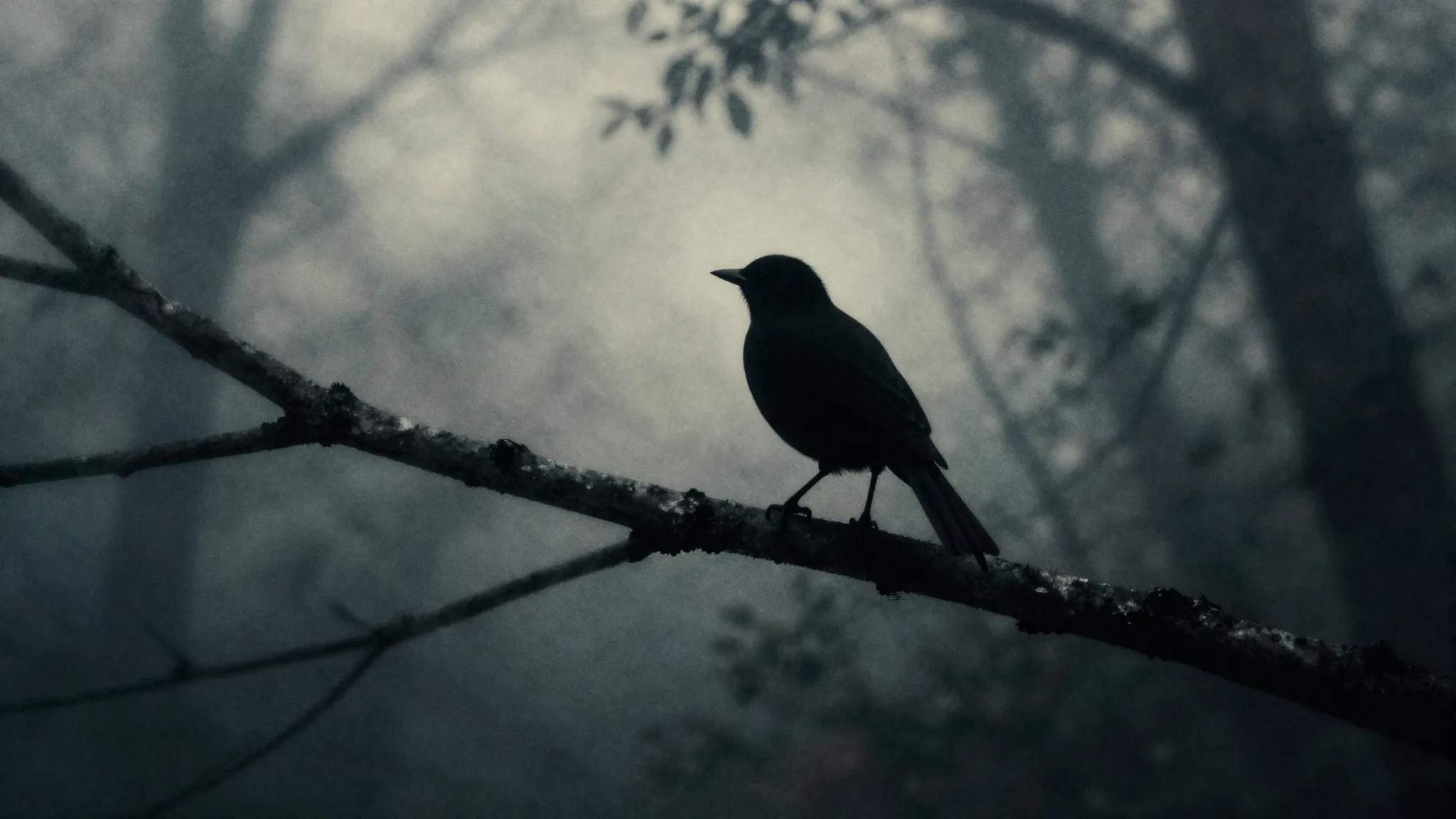 Watercolor style. Silhouette of a bird on a tree branch agai...