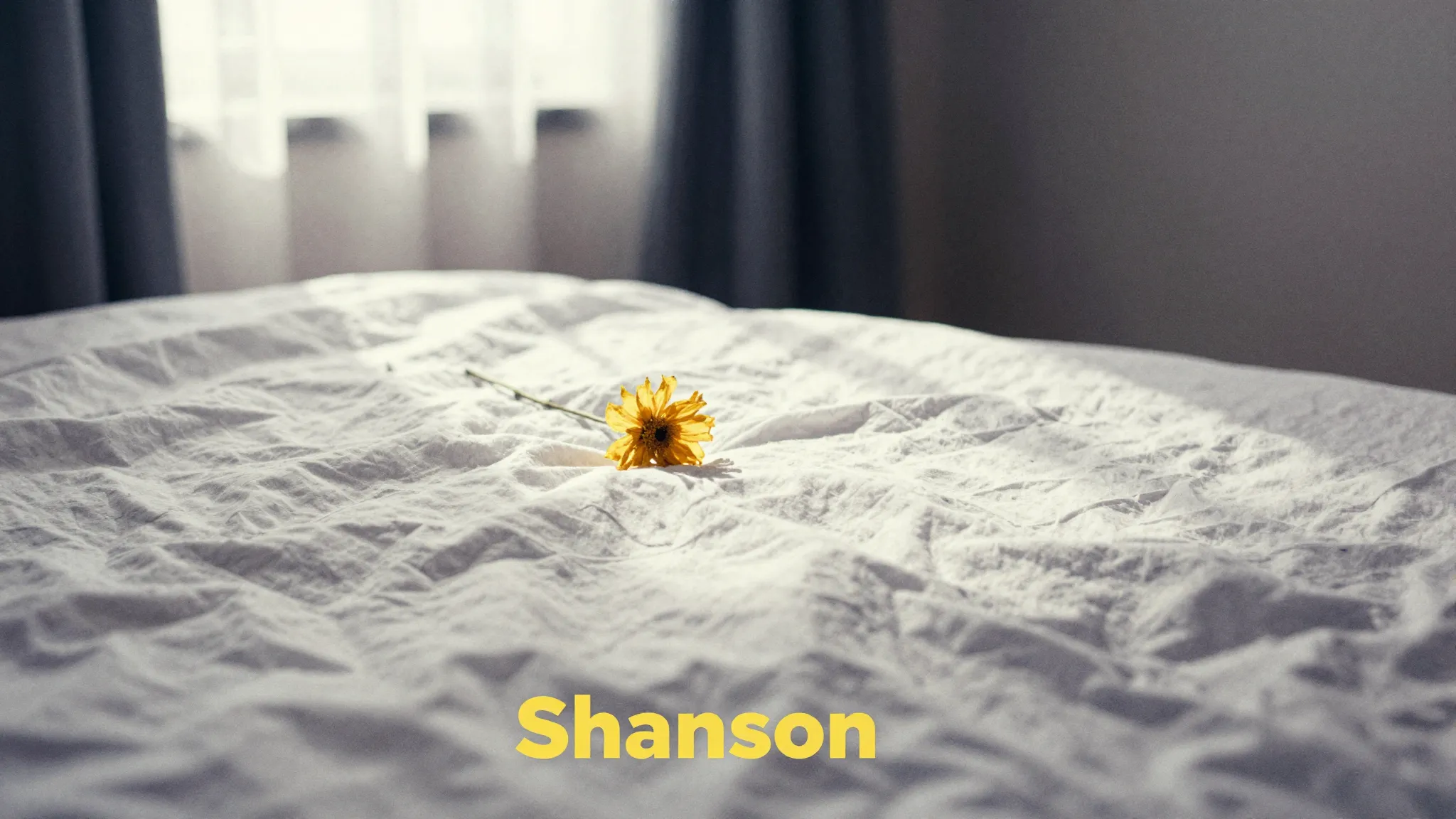 Vibrant watercolor style. "Shanson" album cover: A stark, mi...