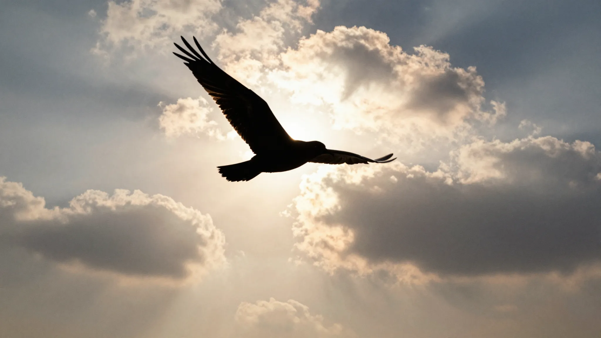 Watercolor style. A silhouette of a bird flying high in the ...