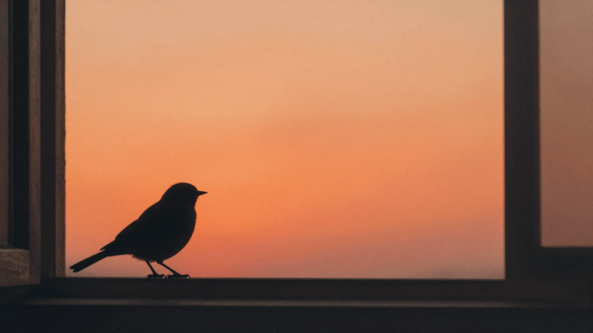 Watercolor style. A silhouette of a small bird sitting on a ...