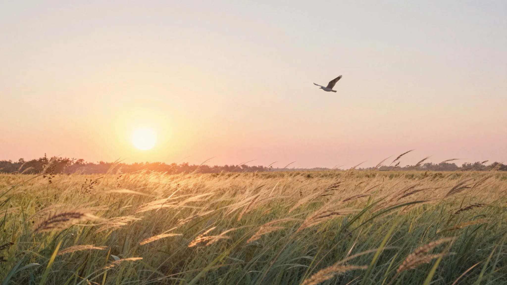 Watercolor style. A warm glowing sun setting over a peaceful...