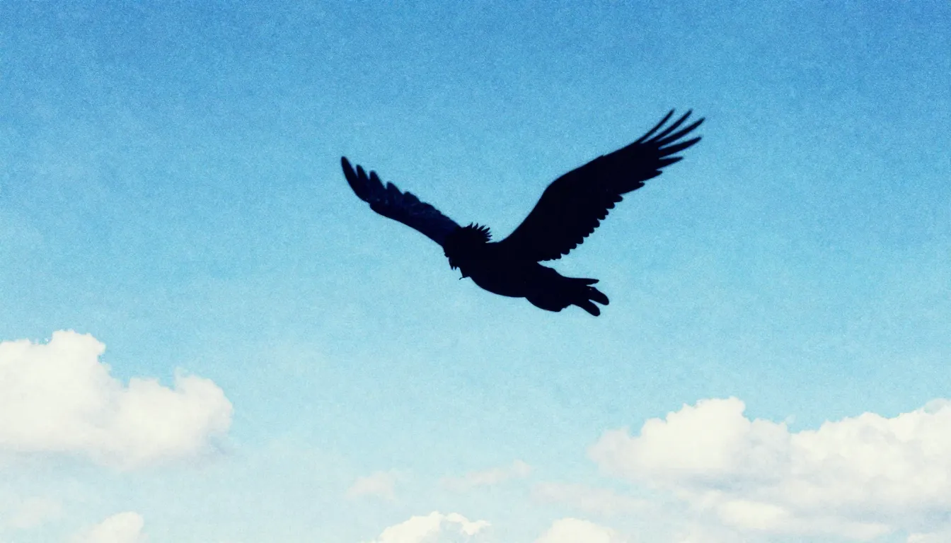 Vibrant watercolor style. Alternative rock album cover. A lo...