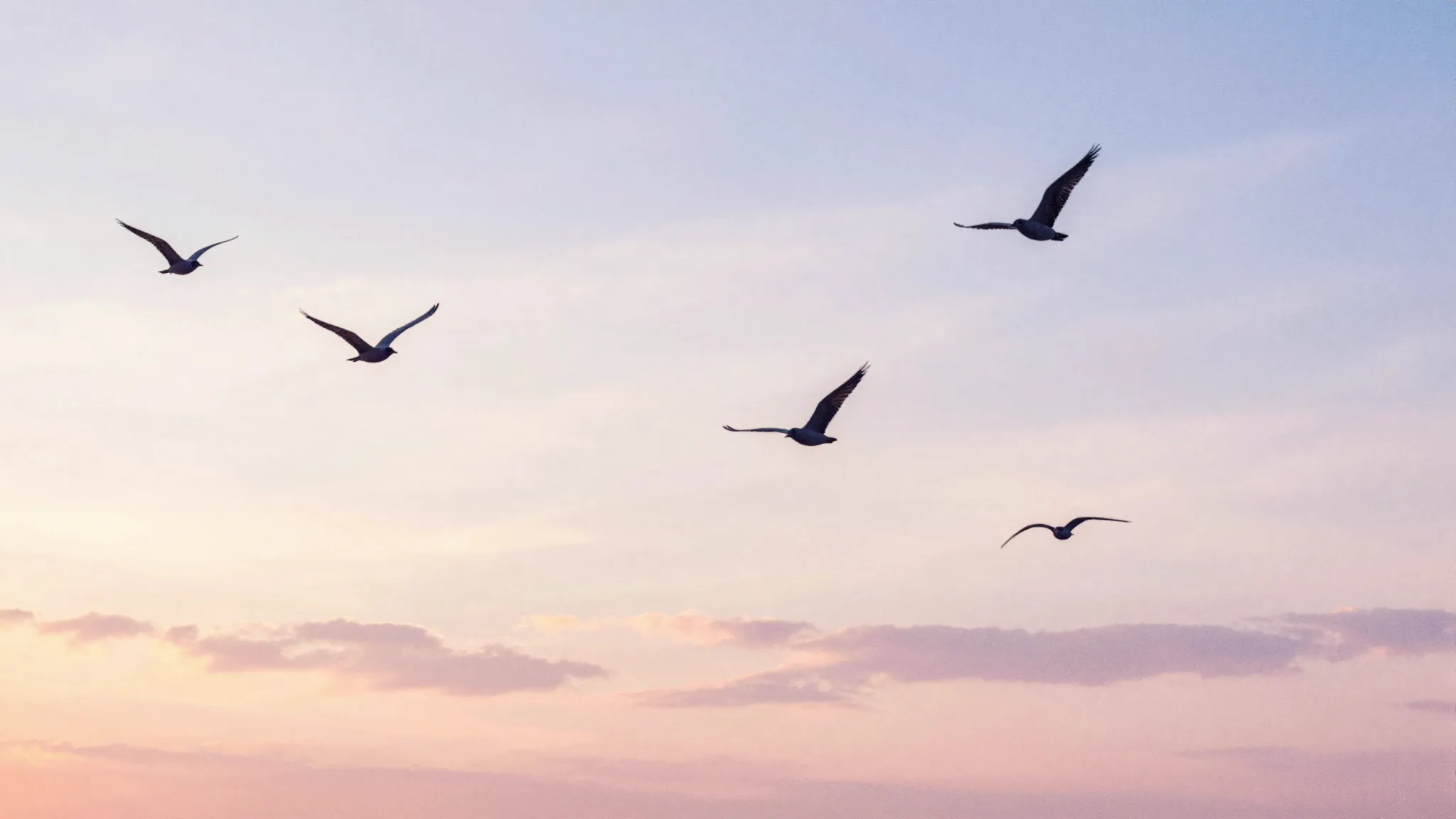 Watercolor style. A delicate spring sunrise with silhouettes...