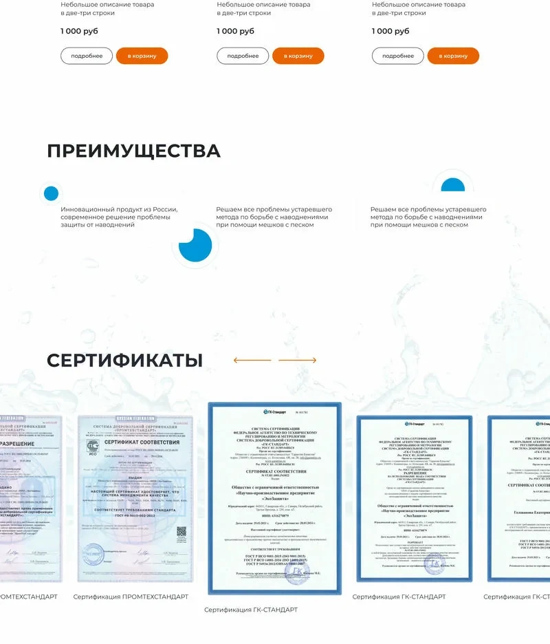 Скриншот проекта Интернет-магазин НПП 