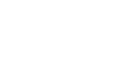Звёзды школа лидерства