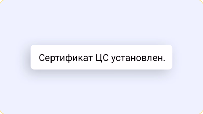 cfc38982-e7b7-49e3-94f0-bd3ec57b9a2d.png
