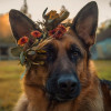 Пользователь