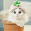 Пользователь