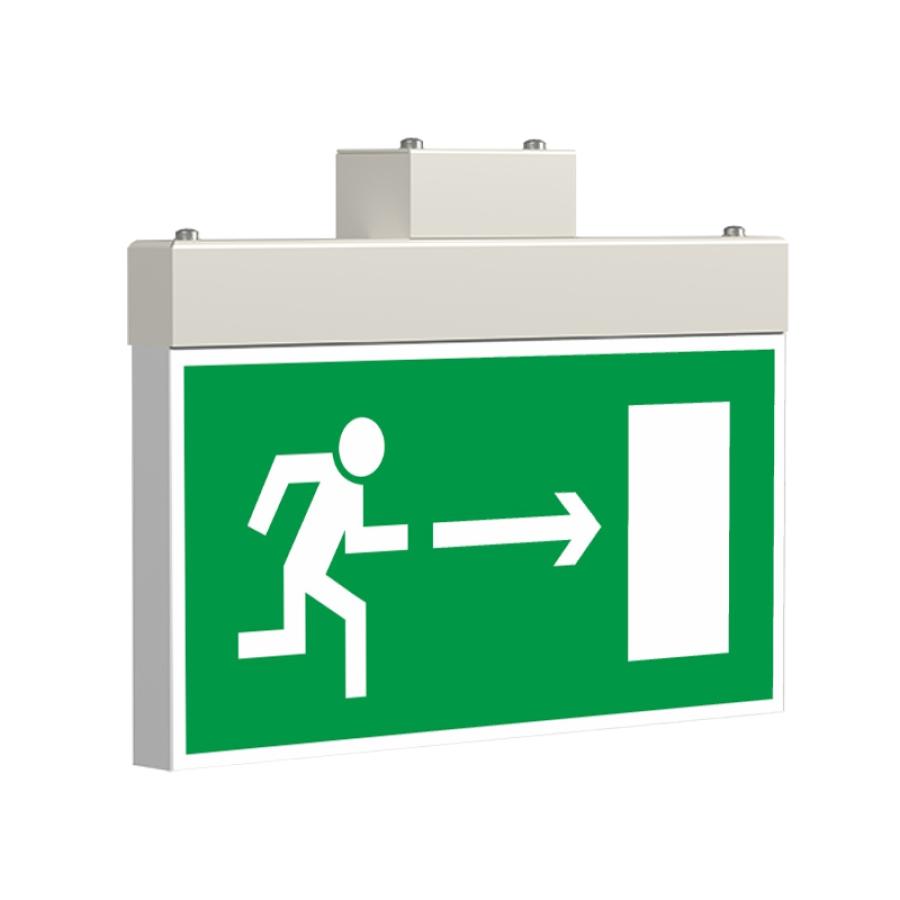 Система оповещения Белый свет BS-YANTA-10-S1-24 #1