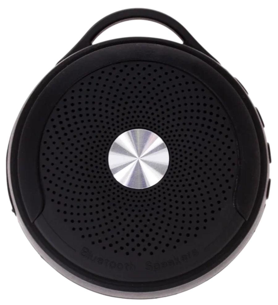 Портативная колонка DEXP P300 #1