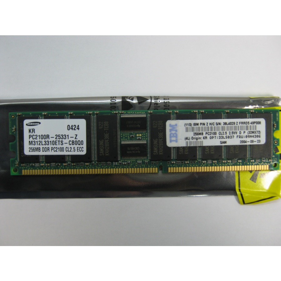 DDR1 DIMM ECC Reg IBM 256Mb DDR PC2100 ECC #1