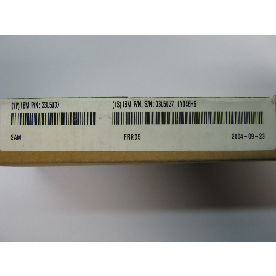 DDR1 DIMM ECC Reg IBM 256Mb DDR PC2100 ECC #5