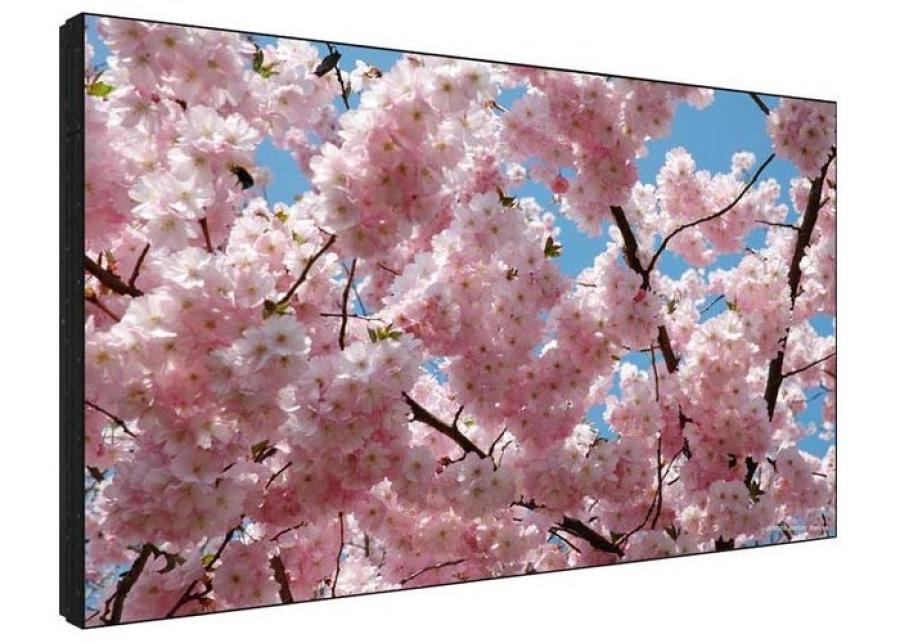 Монитор уличный всепогодный SHARP PN-V601 #1