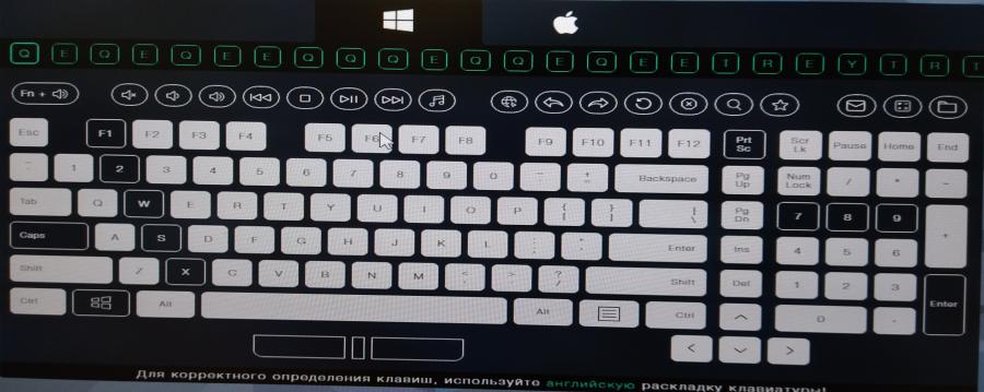 066-162-003 Клавиатура проводная Genius KB-110 #8