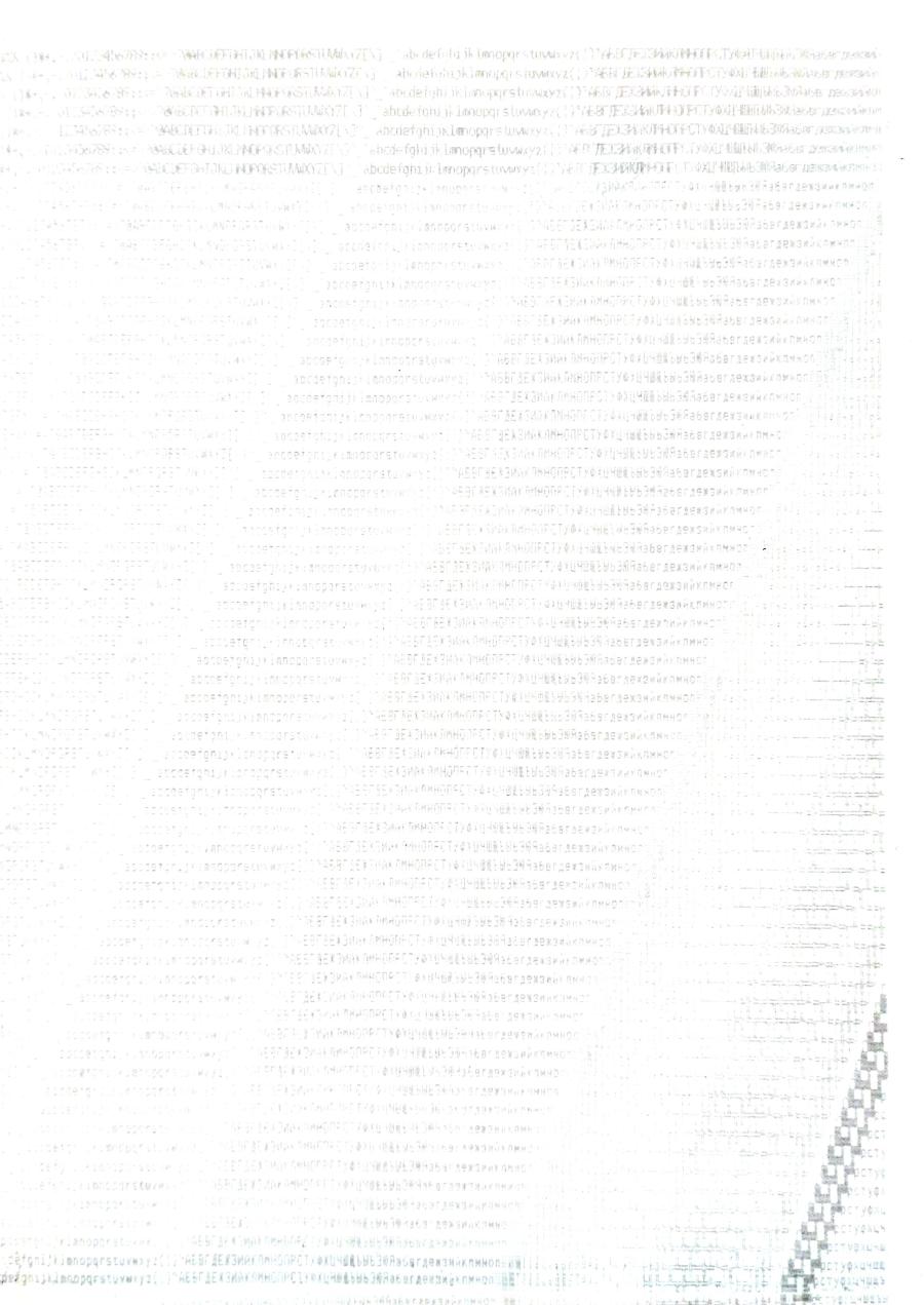 217-240-001 Принтер EPSON LX-300+II #21