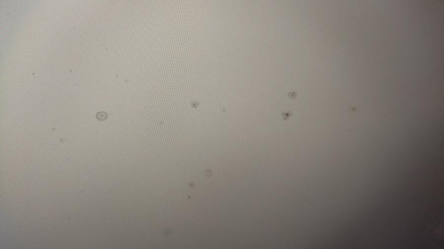 218-004-001 Монитор ЖК SAMSUNG 940NW #11