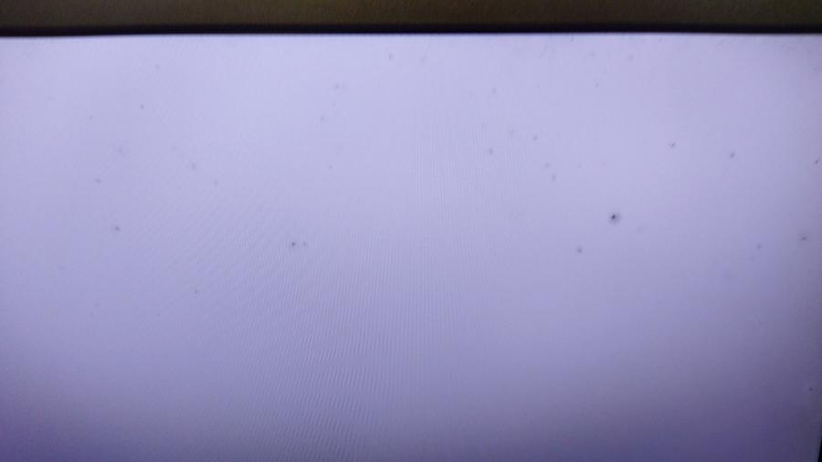 218-009-003 Монитор ЖК HP ProDisplay P221 #11