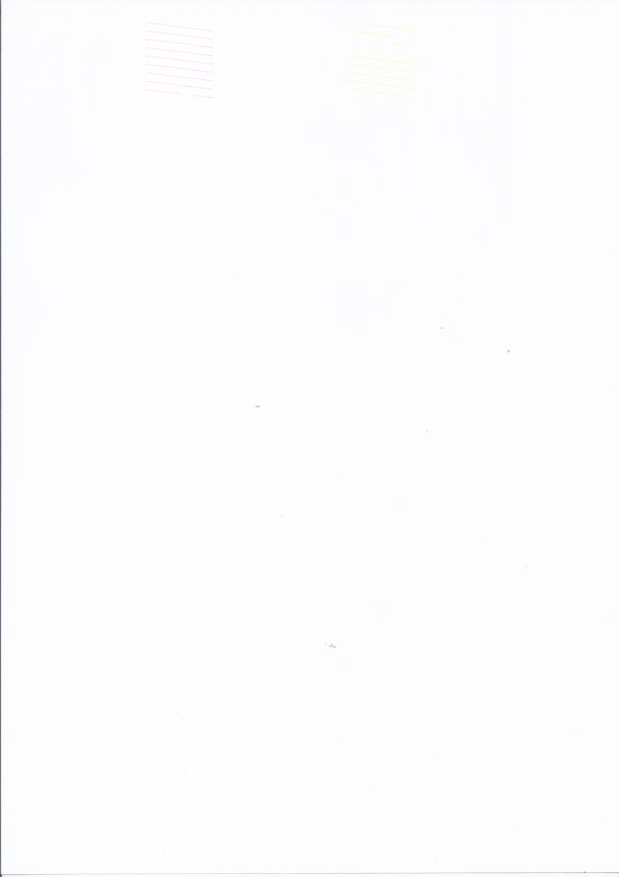 218-017-001 Принтер EPSON Inkjet Photo L800 #24