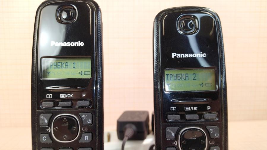 220-020-002 Телефон PANASONIC KX-TG1612RUH #2