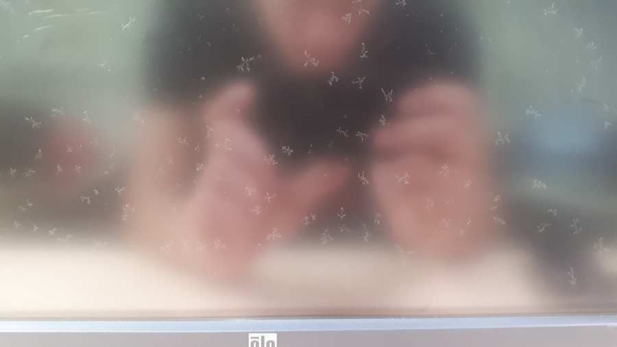 121-061-008 Монитор POS ELO TOUCHSYSTEMS ET1519L #2