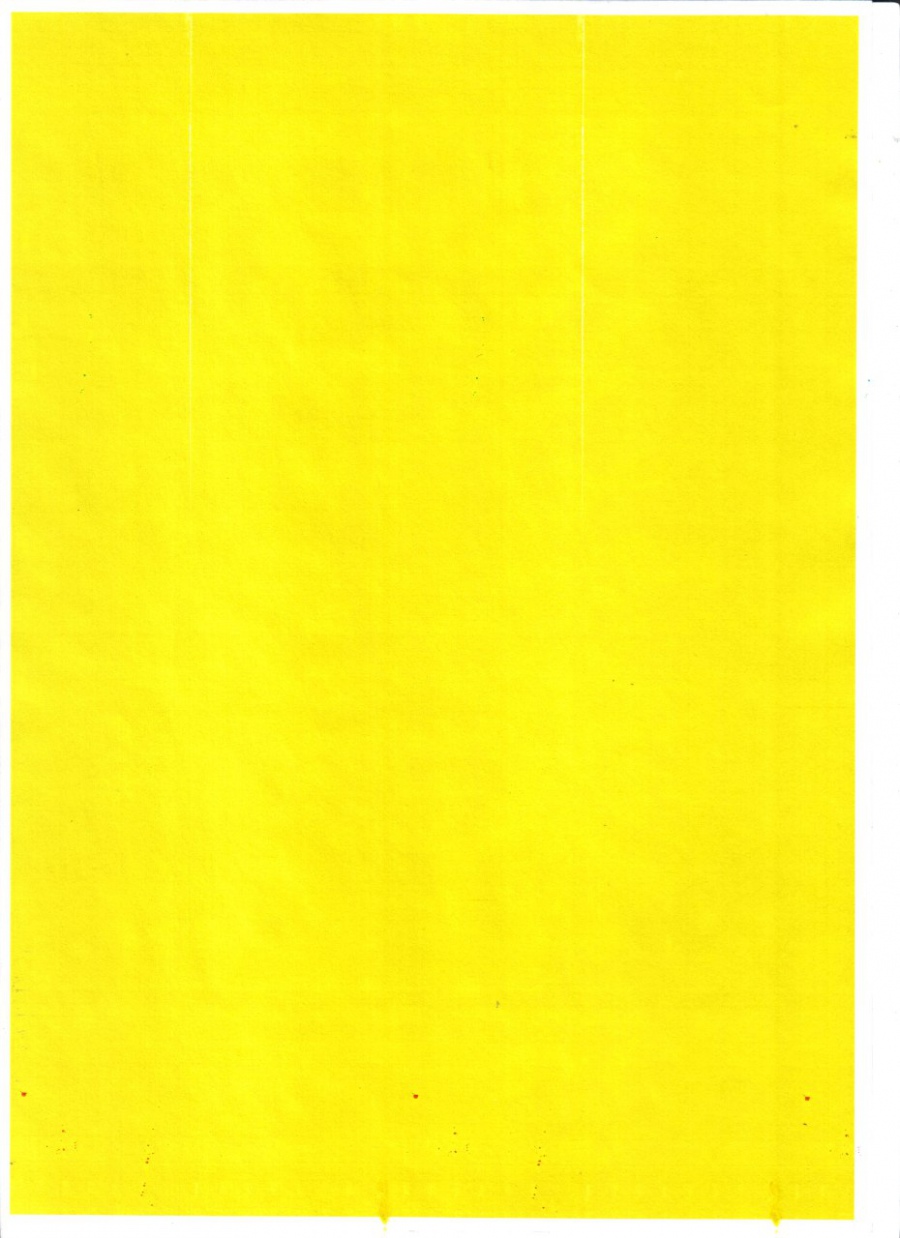 144-005-001 Принтер Lexmark C935dn #42