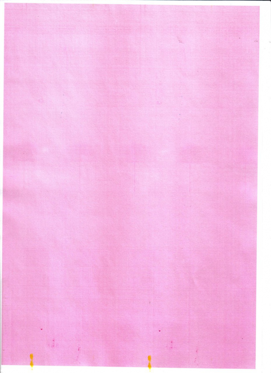 144-005-001 Принтер Lexmark C935dn #46