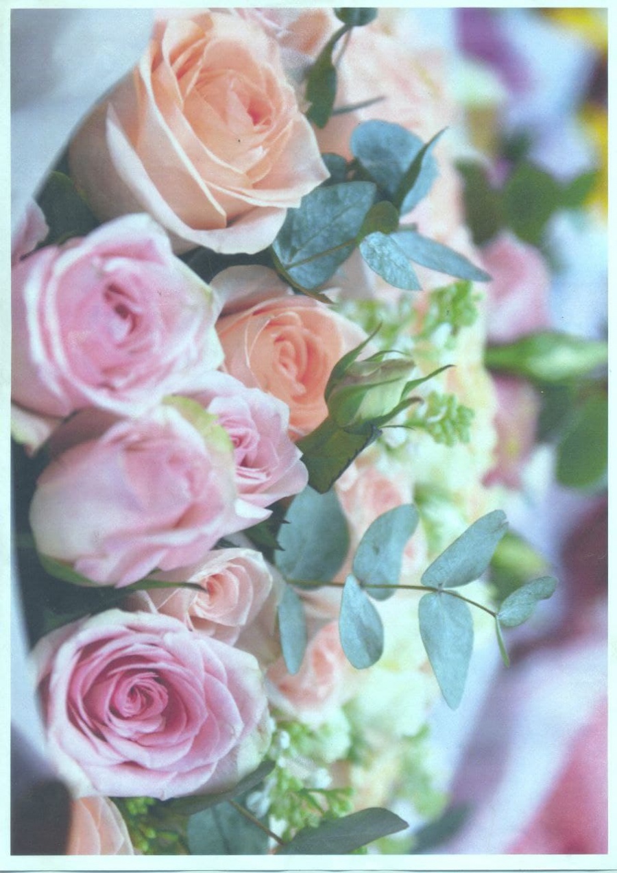 152-021-001 Сканер планшетный EPSON Perfection 1650 #10